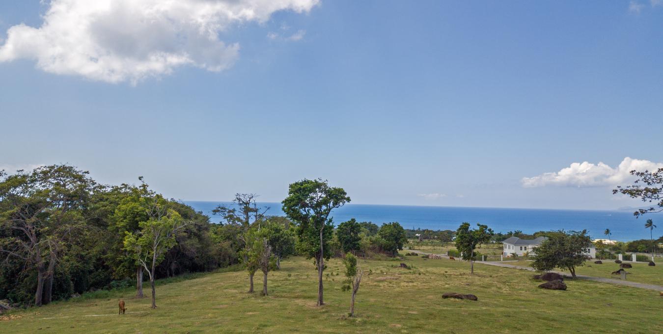 Paradise Residential Lots B Residential Land